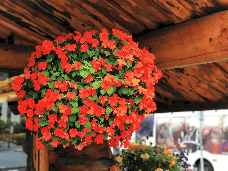 Tạp chí du lịch Wanderlust Tips Anchorage, nơi hoàng hôn buông xuống vào nửa đêm