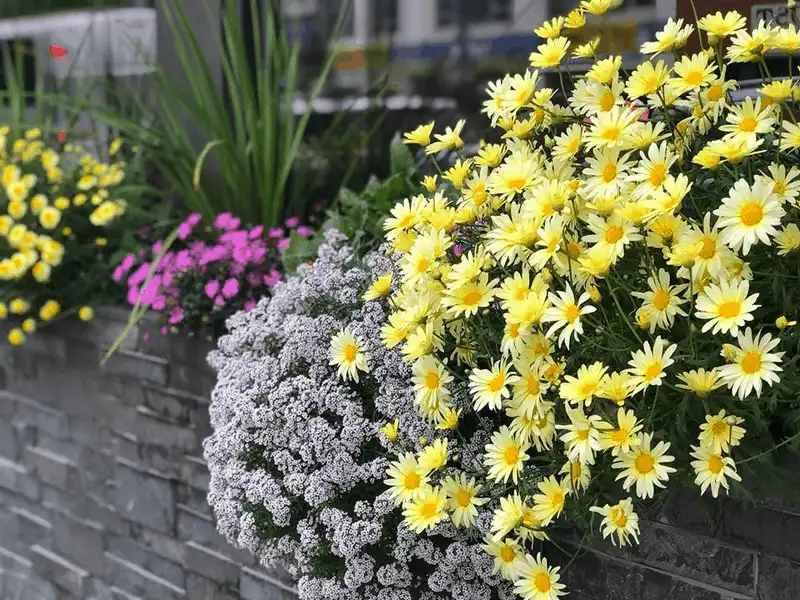 Tạp chí du lịch Wanderlust Tips Anchorage, nơi hoàng hôn buông xuống vào nửa đêm