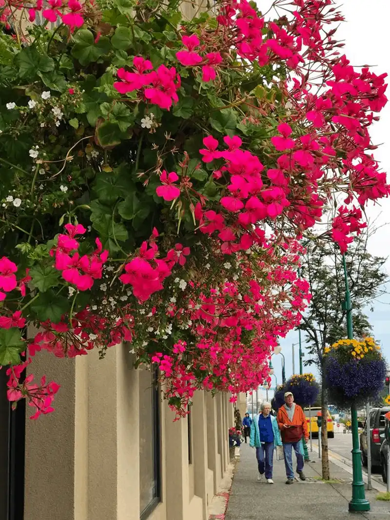 Tạp chí du lịch Wanderlust Tips Anchorage, nơi hoàng hôn buông xuống vào nửa đêm