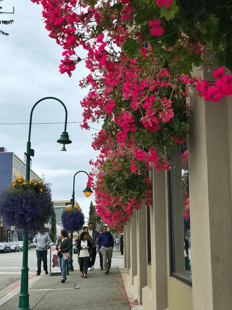 Tạp chí du lịch Wanderlust Tips Anchorage, nơi hoàng hôn buông xuống vào nửa đêm