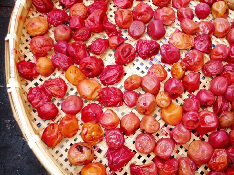 Tạp chí du lịch Wanderlust Tips Đến Nhật Bản nhất định bạn phải thử những loại quả này