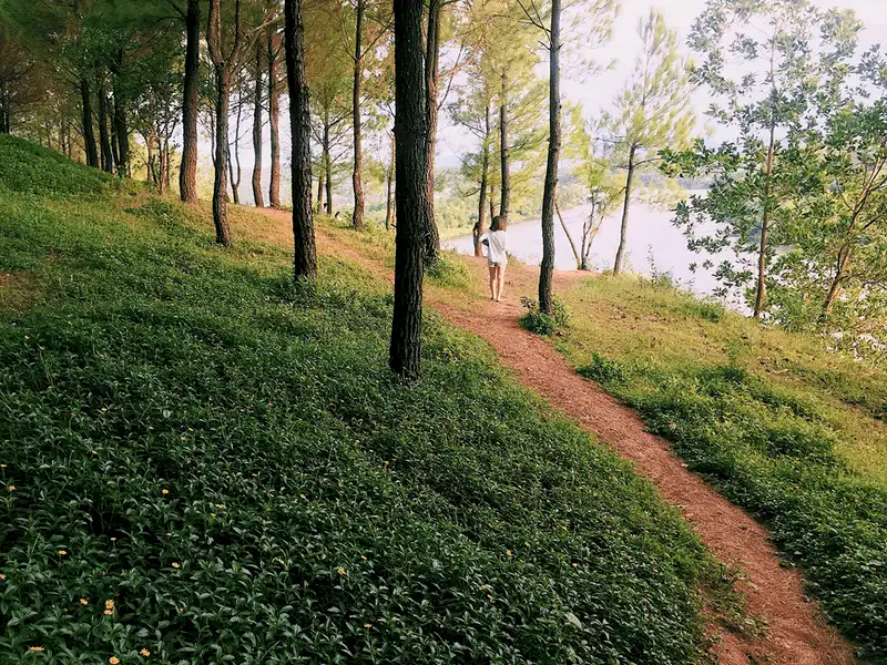 Tạp chí du lịch Wanderlust Tips Đồi Vọng Cảnh, nơi tinh hoa hội tụ của xứ Huế