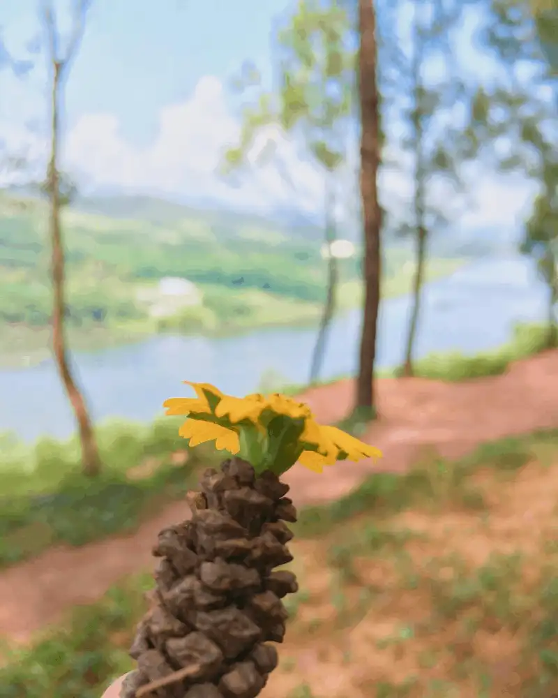 Tạp chí du lịch Wanderlust Tips Đồi Vọng Cảnh, nơi tinh hoa hội tụ của xứ Huế