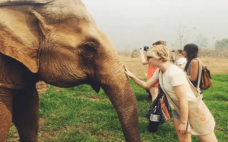 Tạp chí du lịch Wanderlust Tips Khám phá Công viên Elephant Nature Park thuần dưỡng và bảo vệ voi Chiang Mai