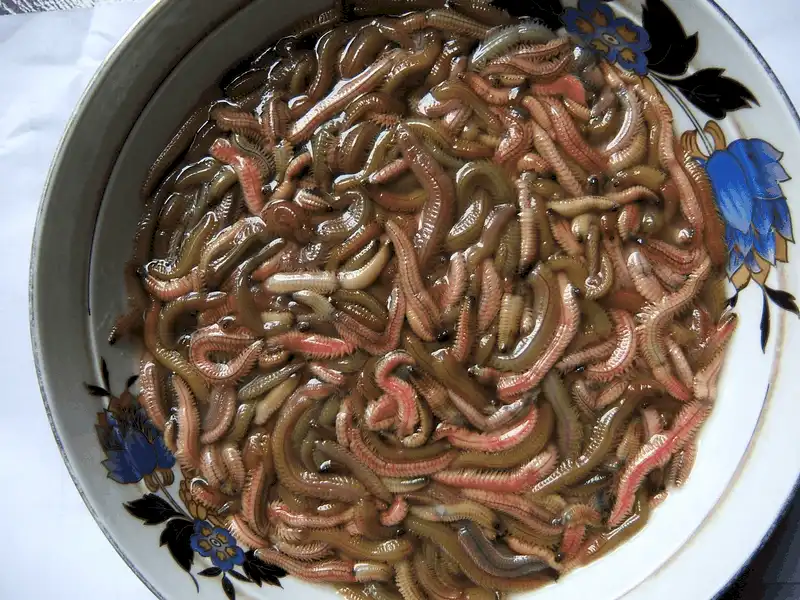 Tạp chí du lịch Wanderlust Tips Mắm rươi, món ăn quý của Bắc Bộ chỉ có theo mùa