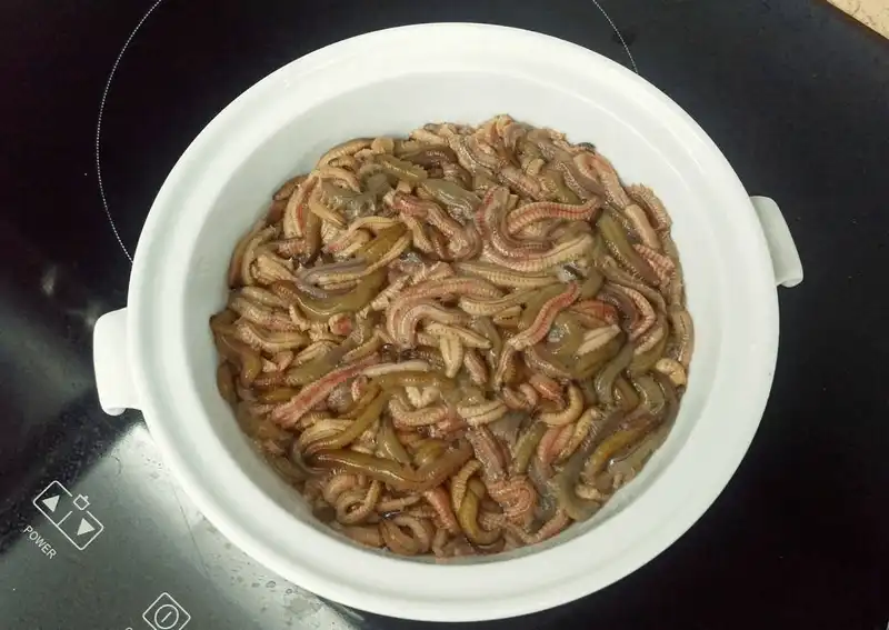 Tạp chí du lịch Wanderlust Tips Mắm rươi, món ăn quý của Bắc Bộ chỉ có theo mùa