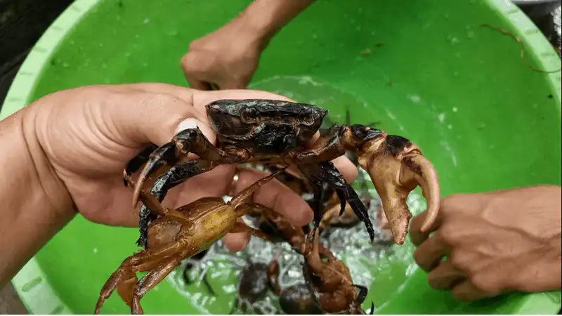 Tạp chí du lịch Wanderlust Tips Những đặc sản chỉ có ở xứ dừa Bến Tre