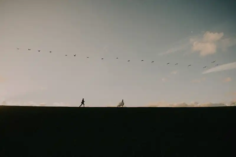 Tạp chí du lịch Wanderlust Tips Tạp chí Junebug Weddings công bố top 20 bức ảnh cưới đẹp nhất năm 2018