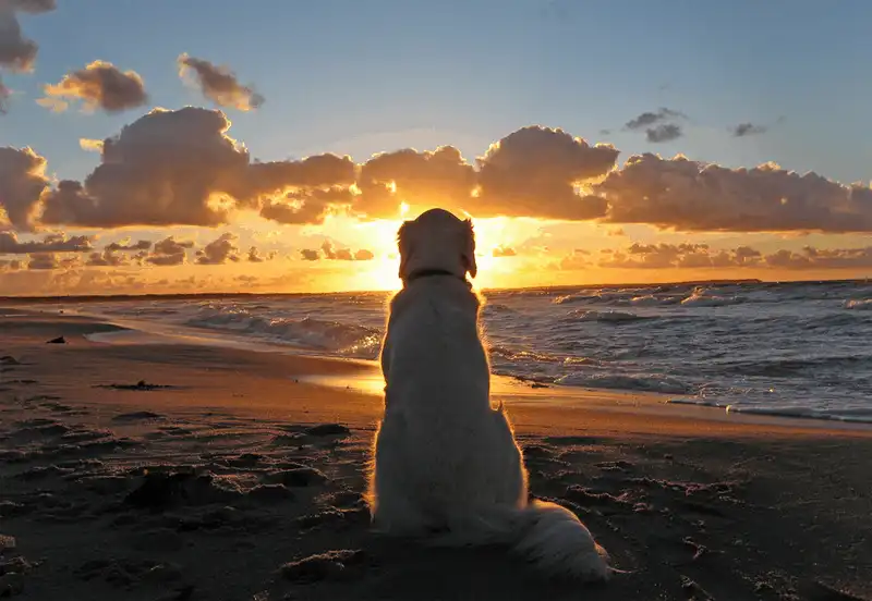 10 mẹo để có những bức ảnh đẹp khi đi du lịch 8 Tạp chí du lịch Wanderlust Tips - 10 mẹo chụp ảnh đẹp khi đi du lịch