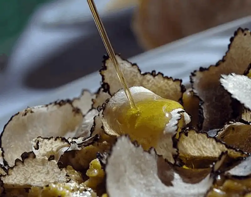 Tạp chí du lịch Wanderlust Tips - Nấm Truffle đắt nhất thế giới và 10 sự thật thú vị