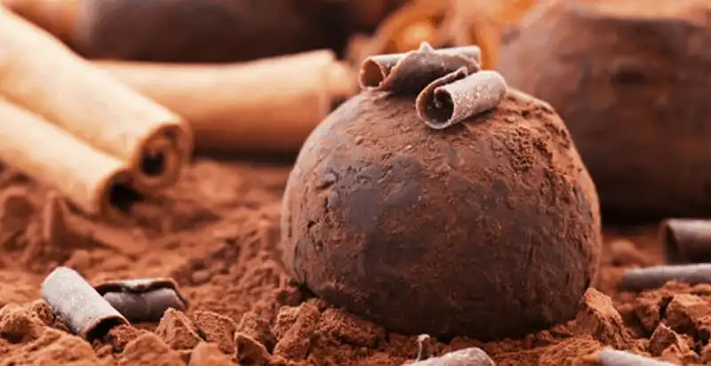  Tạp chí du lịch Wanderlust Tips - Nấm Truffle đắt nhất thế giới và 10 sự thật thú vị