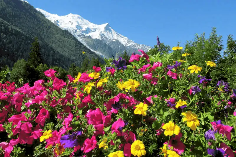 10 thiên đường hoa khiến du khách đắm say 16 Tạp chí du lịch Wanderlust Tips - 10 thiên đường loài hoa khiến du khách đắm say