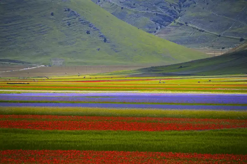 10 thiên đường hoa khiến du khách đắm say 23 Tạp chí du lịch Wanderlust Tips - 10 thiên đường loài hoa khiến du khách đắm say