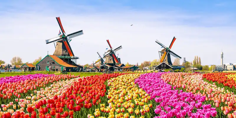 10 thiên đường hoa khiến du khách đắm say 11 Tạp chí du lịch Wanderlust Tips - 10 thiên đường loài hoa khiến du khách đắm say