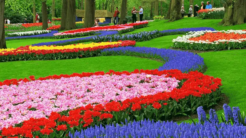 10 thiên đường hoa khiến du khách đắm say 12 Tạp chí du lịch Wanderlust Tips - 10 thiên đường loài hoa khiến du khách đắm say