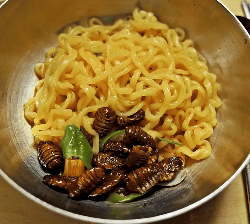 Đến Hàn Quốc thưởng thức món Beondegi độc lạ 8 Tạp chí Du lịch Wanderlust Tips Đến Hàn Quốc nhớ thưởng thức món Beondegi độc lạ