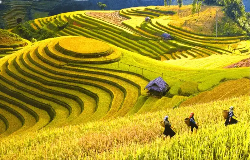 Tạp chí du lịch Wanderlust Tips - Khám phá những điểm du lịch tháng 9