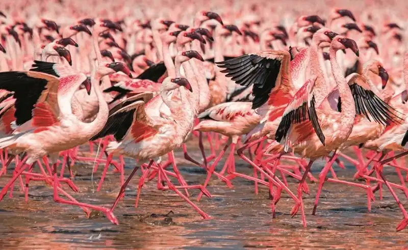 Mê mẩn trước 7 điểm đến sắc màu rực rỡ nhất thế giới 8 wanderlust tips me man truoc 7 diem ruc ro sac mau tren the gioi