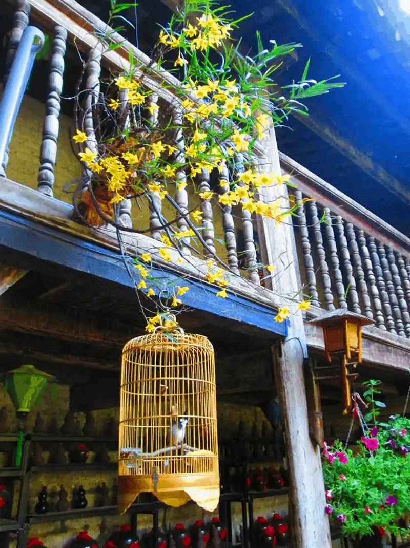 Tạp chí du lịch Wanderlust Tips - Rong ruổi rẻo cao đại ngàn Hà Giang