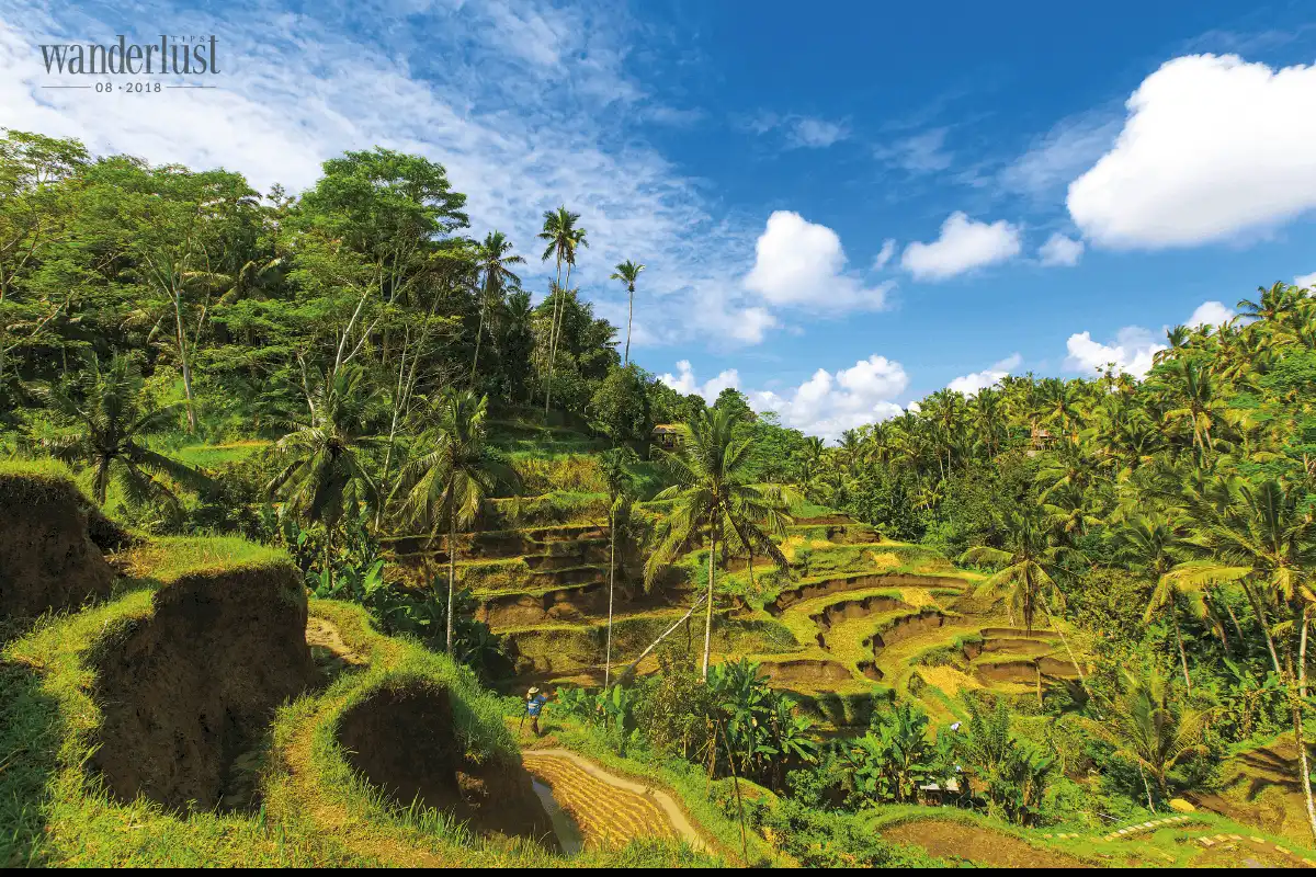 Tôi đã đánh rơi trái tim mình ở Bali 12 Tạp chí Du lịch Wanderlust Tips Tôi đã đánh rơi trái tim mình ở Bali