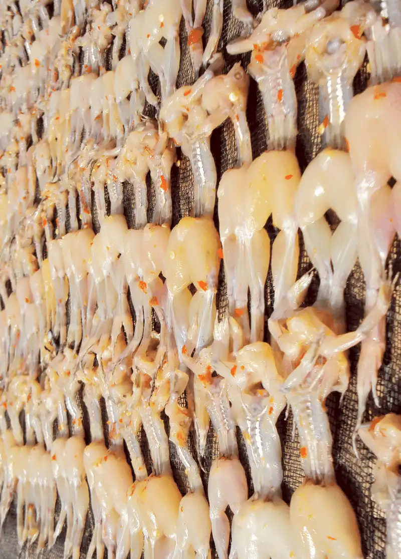 “Vũ nữ chân dài” - đặc sản gây thương nhớ của miền Tây 6 Tạp chí du lịch Wanderlust Tips Vũ nữ chân dài - đặc sản gây thương nhớ của miền Tây