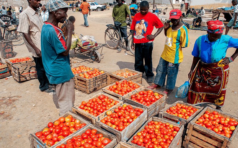 Wanderlust tips 8 dieu ban khong bao gio nen lam o zambia 7