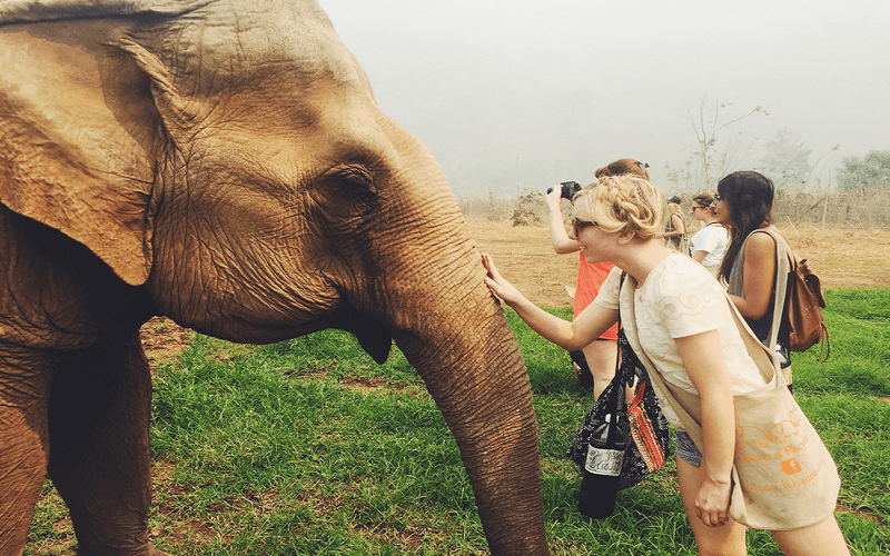 Wanderlust tips kham pha cong vien thuan duong va bao ve voi chiang mai 4