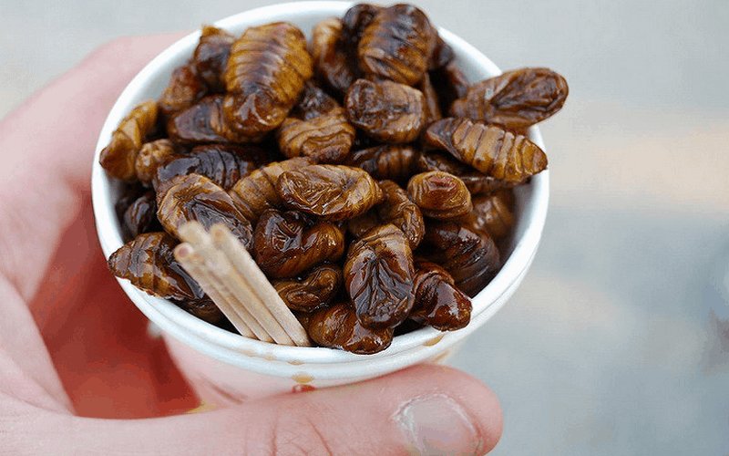 Đến Hàn Quốc thưởng thức món Beondegi độc lạ