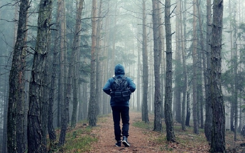 Tạp chí du lịch Wanderlust Tips | Bí kíp hữu ích để sống sót khi du lịch lạc trong rừng