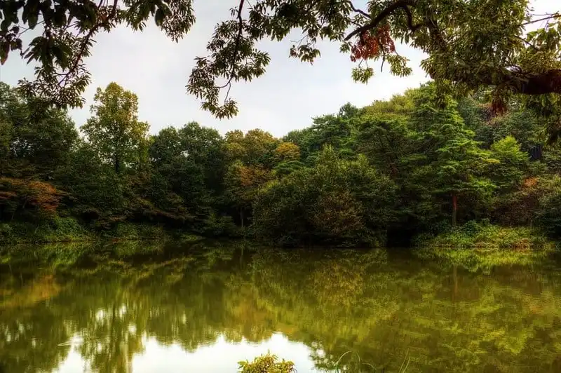 Tạp chí du lịch Wanderlust Tips | Khám phá những điểm đến có thật trong phim hoạt hình Nhật Bản