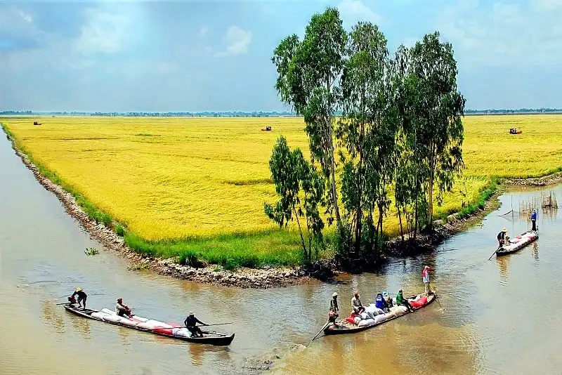 Vũ nữ chân dài - Đặc sản miền Tây níu chân du khách 5 Tạp chí du lịch Wanderlust Tips | Vũ nữ chân dài - Đặc sản miền Tây níu chân du khách