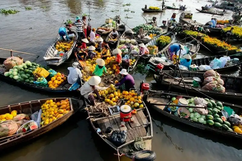 Tạm quên thu Bắc Bộ đi, miền Tây mùa nước nổi đẹp quên lối về 10 Tạp chí du lịch Wanderlust Tips | Tạm quên thu Bắc Bộ đi, miền Tây mùa nước nổi đẹp quên lối về