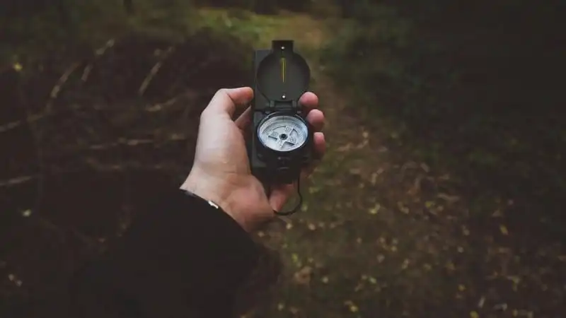 Tạp chí Wanderlust Tips | Bỏ túi bí kíp hữu ích để sống sót khi du lịch lạc trong rừng