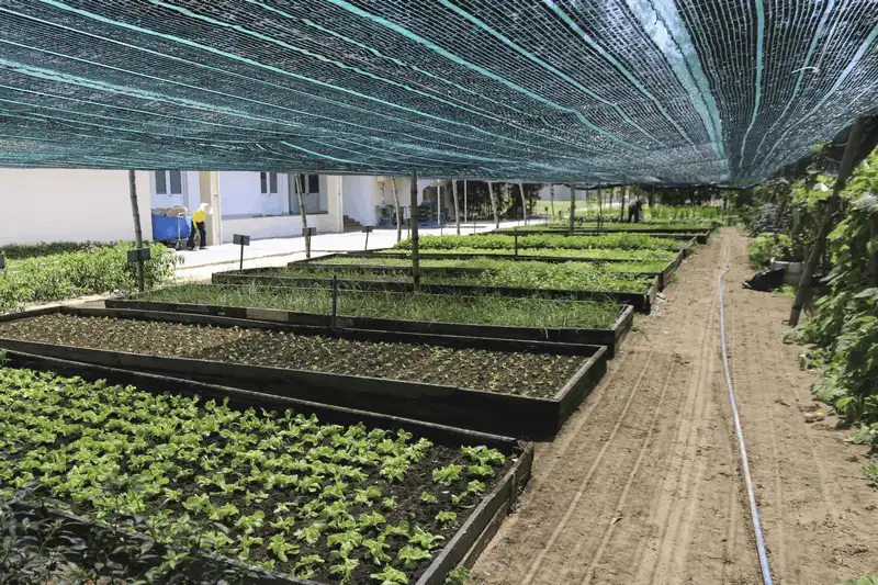 Tạp chí du lịch Wanderlust Tips Centara Sandy Beach Resort Đà Nẵng ra mắt gói Hội họp đẳng cấp mới