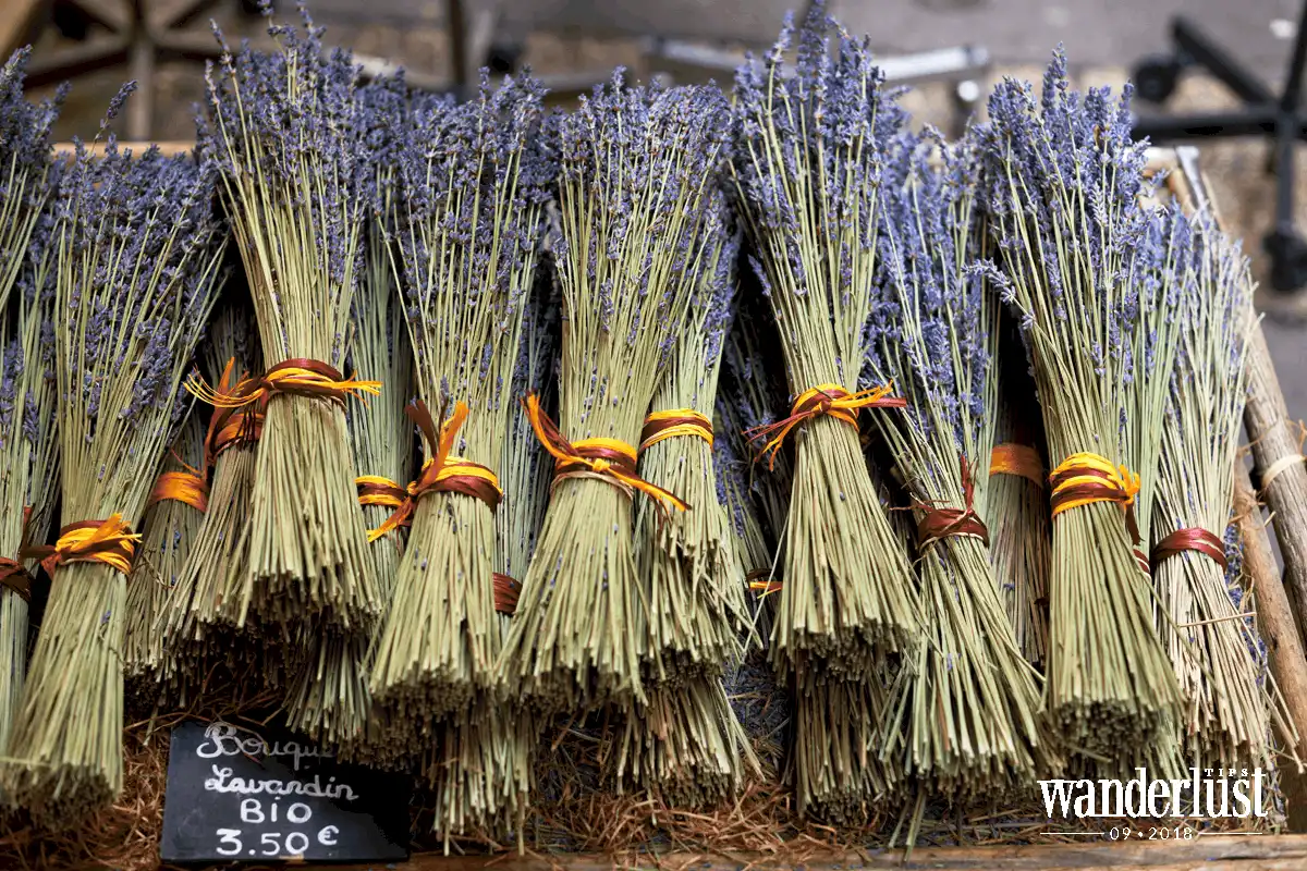 Điều tuyệt vời gì đang chờ bạn ở Aix-en-Provence? 10 Tạp chí du lịch Wanderlust Tips Điều tuyệt vời gì đang chờ bạn ở Aix-en-Provence