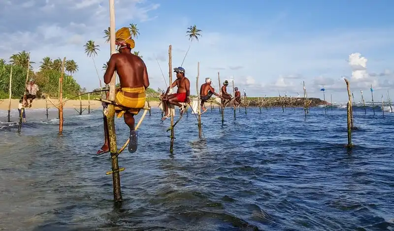 Tạp chí du lịch Wanderlust Tips | Độc đáo truyền thống câu cá trên cọc kheo của người Sri Lanka