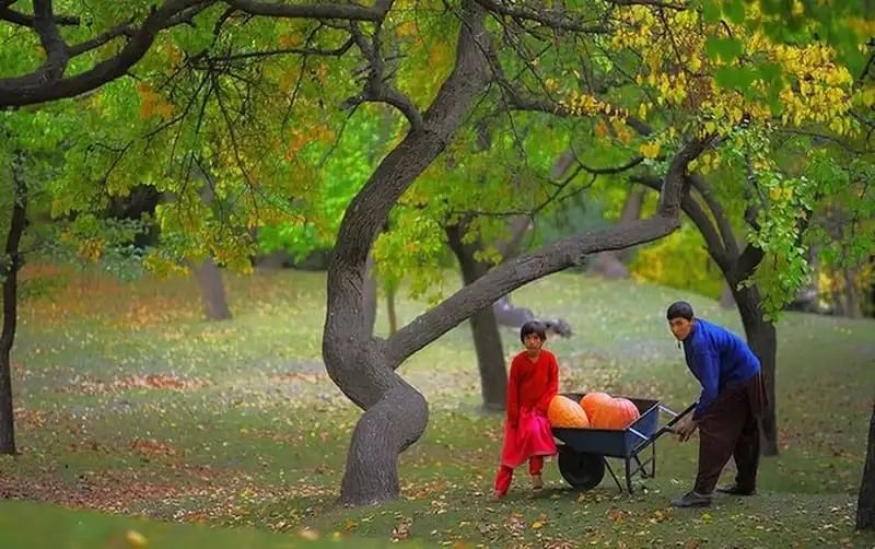 Bí quyết để luôn trẻ đẹp của các cô gái người Hunza ở Pakistan 10 Tạp chí du lịch Wanderlust Tips | Người Hunza nổi tiếng có nhiều thiếu nữ “đẹp như hoa”