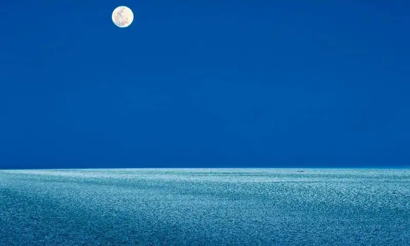 Khám phá sa mạc muối khổng lồ đẹp lấp lánh ở Ấn Độ 9 Tạp chí du lịch Wanderlust Tips | Khám phá sa mạc muối khổng lồ, đẹp lấp lánh ở Ấn Độ