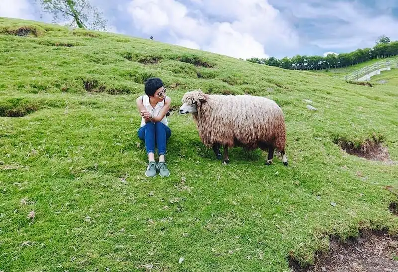 Khám phá miền quê Nam Đầu đẹp như tranh vẽ 9 Tạp chí du lịch Wanderlust Tips | Khám phá miền quê Nam Đầu đẹp như tranh vẽ