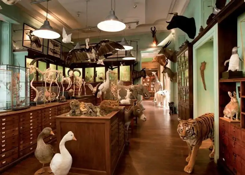 Tạp chí du lịch Wanderlust Tips | Lạc lối trong 5 khu mua sắm và cửa hàng kỳ lạ nhất thế giới