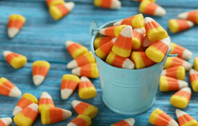 Tạp chí du lịch Wanderlust Tips Mê mẩn trước vị ngọt các món ăn dịp Halloween trong Công viên Disney World