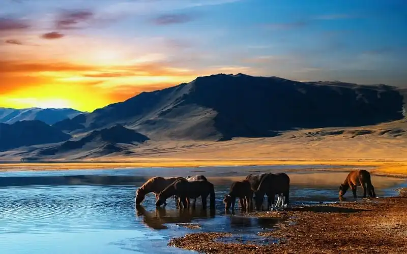 Mùa thu yên bình trên thảo nguyên Mông Cổ 8 Tạp chí du lịch Wanderlust Tips | Mùa thu yên bình trên thảo nguyên Mông Cổ