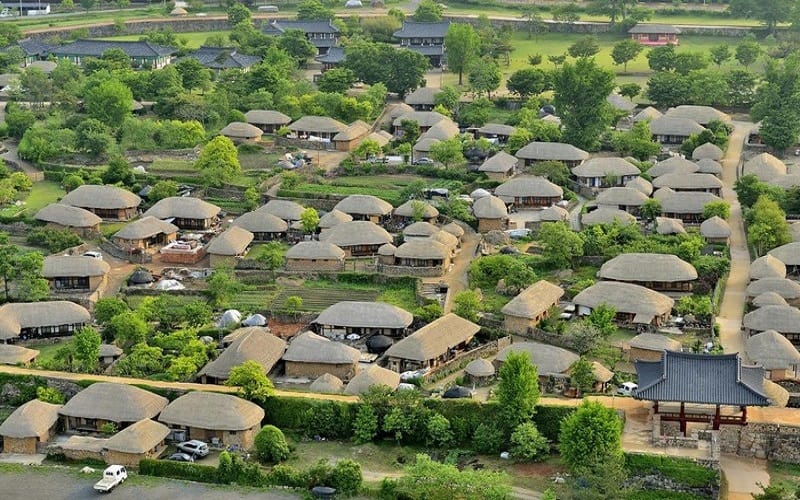 Tạp chí du lịch Wanderlust Tips | Ngôi làng cây nấm khiến du khách mê mẩn ở Hàn Quốc