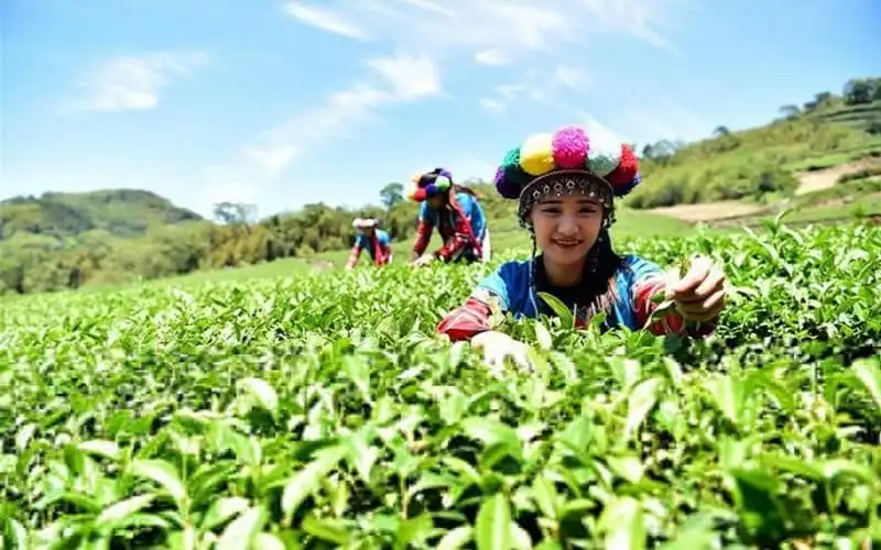 Tạp chí du lịch Wanderlust Tips | Người Tsou - Bộ tộc châu Á sở hữu nét đẹp như Tây