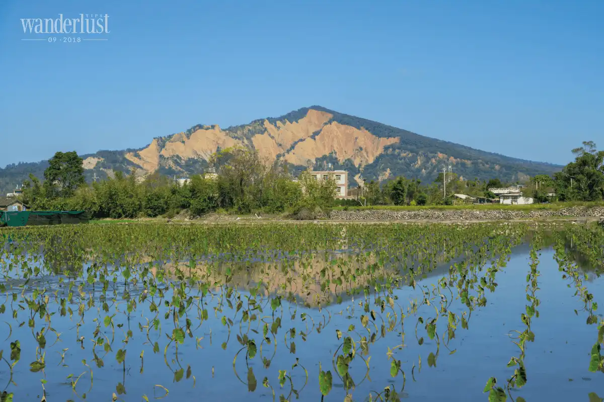 Những ngày Đài Loan tươi đẹp cùng các thành viên Hello World 12 Tạp chí du lịch Wanderlust Tips Những ngày Đài Loan tươi đẹp