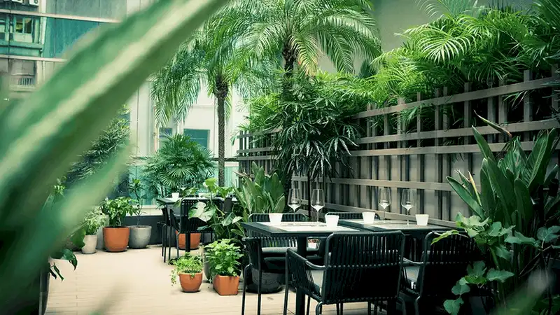 Tạp chí du lịch Wanderlust Tips 5 nhà hàng ở Hồng Kông mới được trao tặng sao Michelin