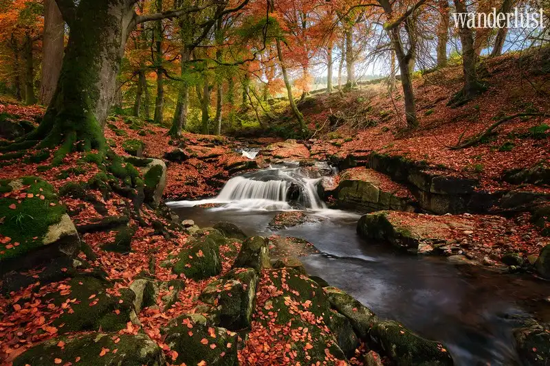 Wanderlust Tips nhung thanh pho chau au co mua thu say dam nhat 06