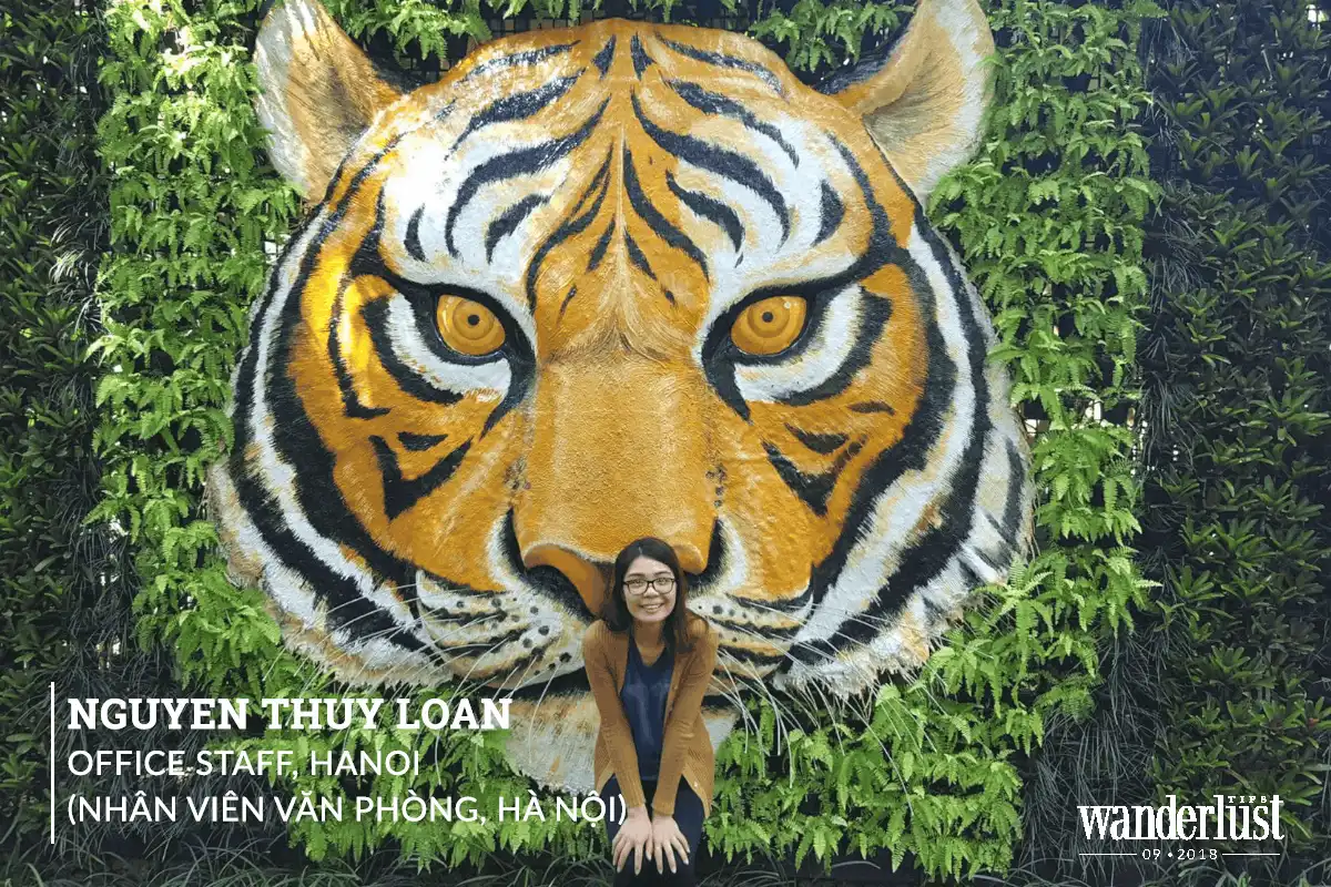 Tạp chí du lịch Wanderlust Tips Share the love: Ẩm thực đường phố