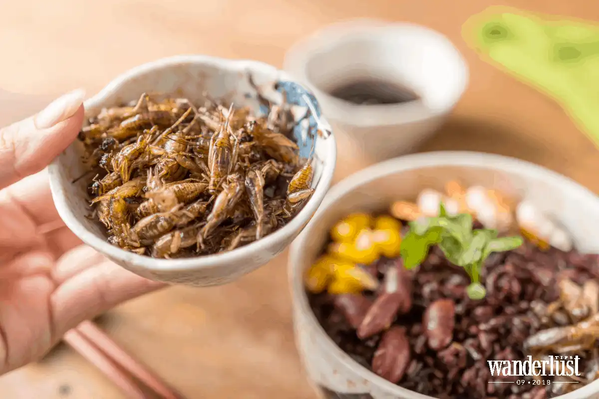 Tạp chí du lịch Wanderlust Tips Sự bùng nổ của những xu hướng ẩm thực