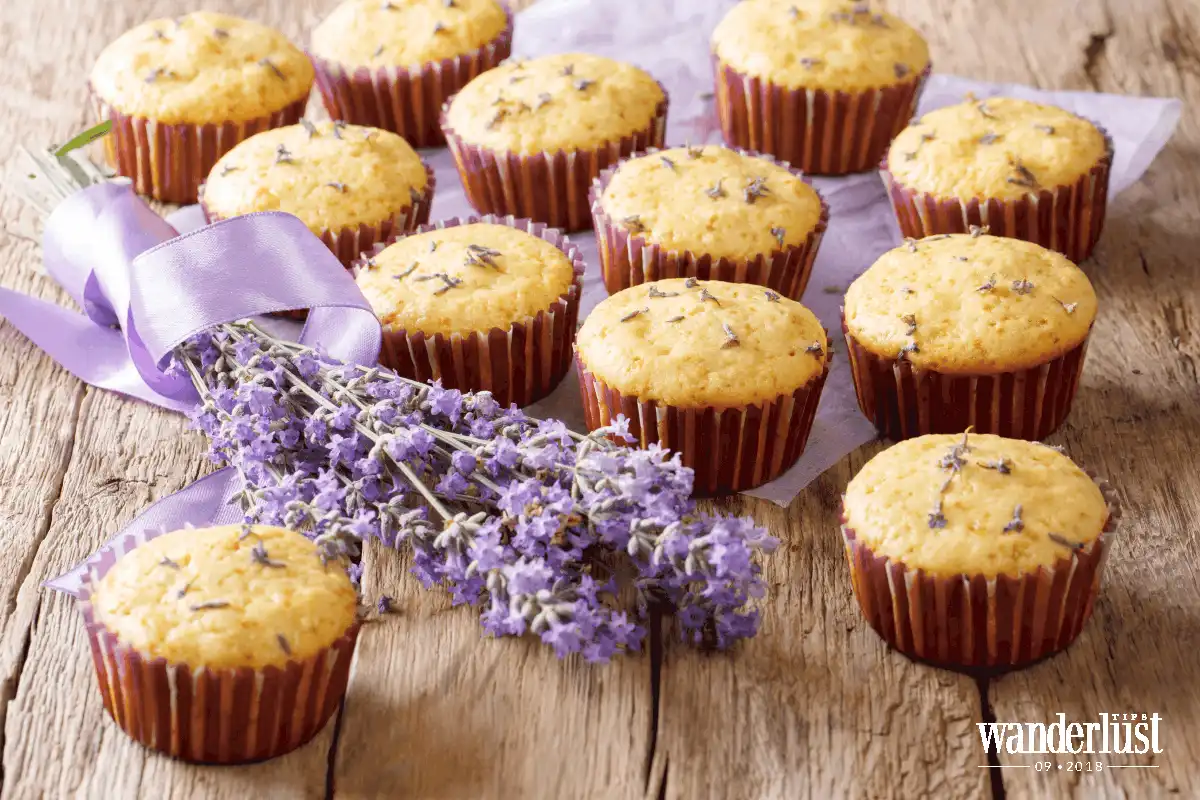 Tạp chí du lịch Wanderlust Tips Sự bùng nổ của những xu hướng ẩm thực